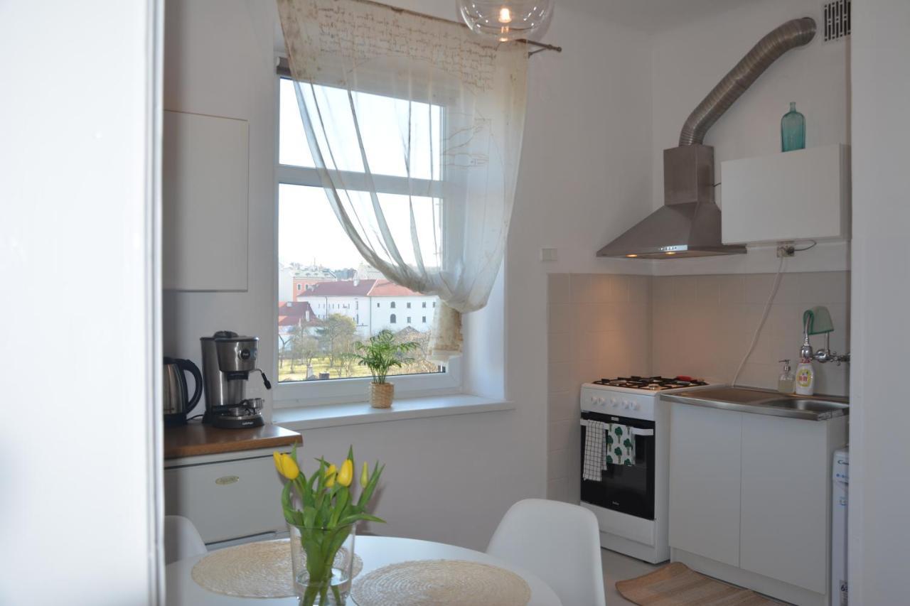 Wanner Studio/Old Town/Center Cracovie Extérieur photo